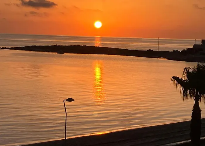 Zambra Iii - Valmanga *